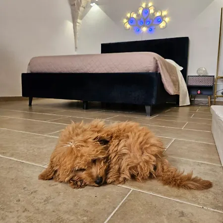 Muribel Maison Dom wakacyjny *