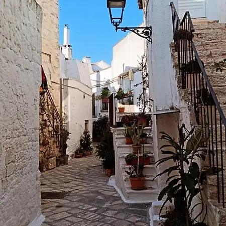 Дом отдыха Muribel Maison *