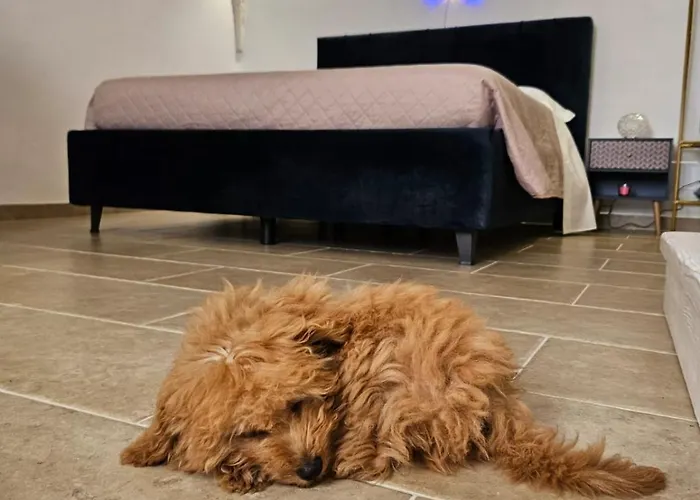 Muribel Maison Casa vacanze *